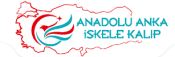 Anadolu Anka İskele Kalıp İml.İnş.Taah.Telek.Sist.Ltd.Şti.