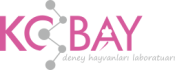 Kobay Deney Hayvanları Lab. San. Ve Tic. A.Ş.