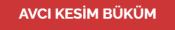 Murat Avcı